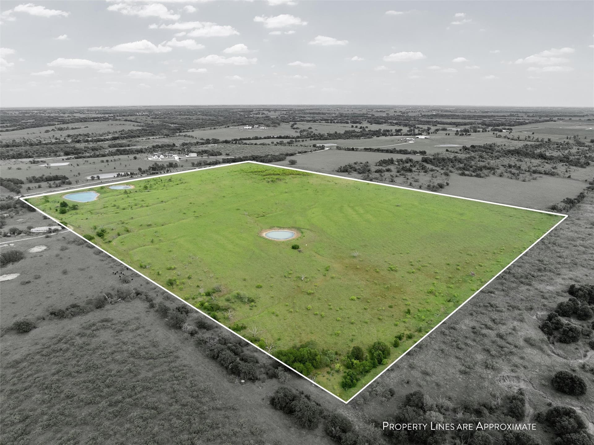 50.22 acres in Falls County gallery image 2