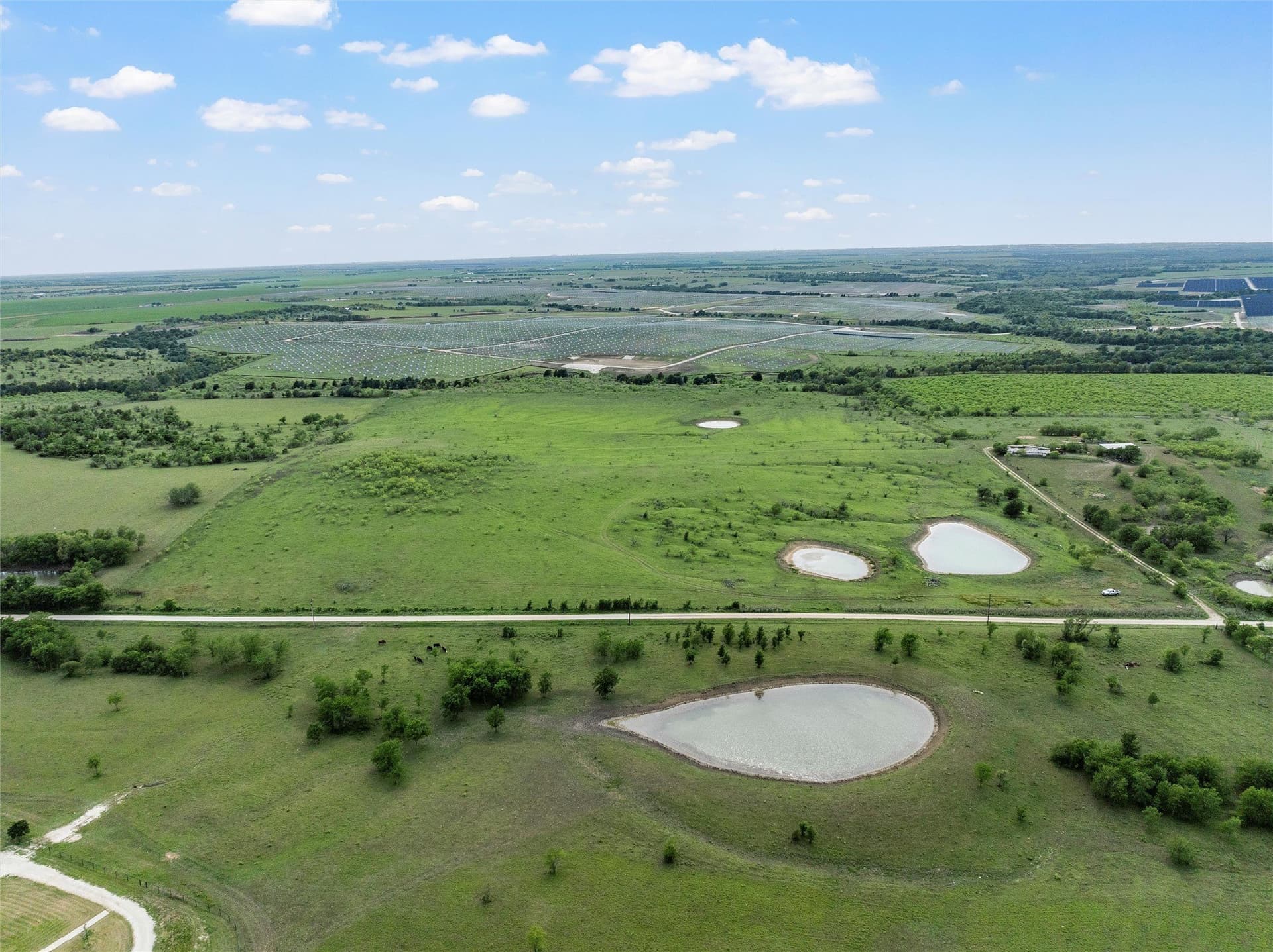 50.22 acres in Falls County - photo 6