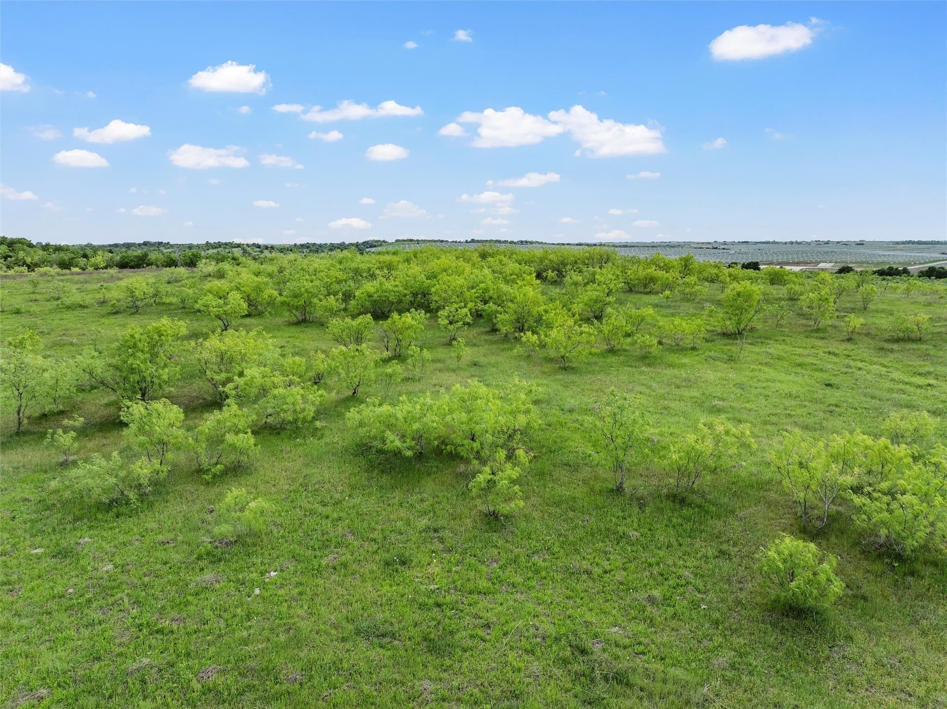 50.22 acres in Falls County - photo 11
