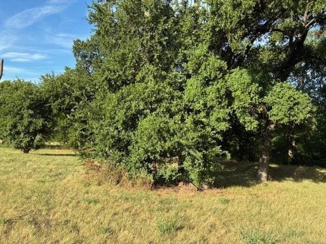 0.75 acres in Dallas County gallery image 4