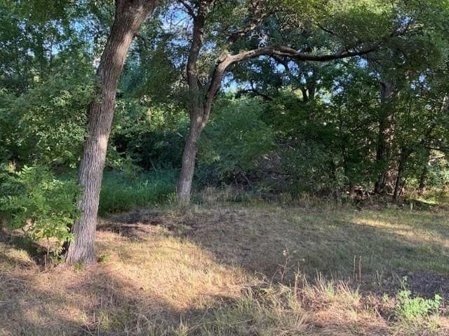 0.75 acres in Dallas County featured view
