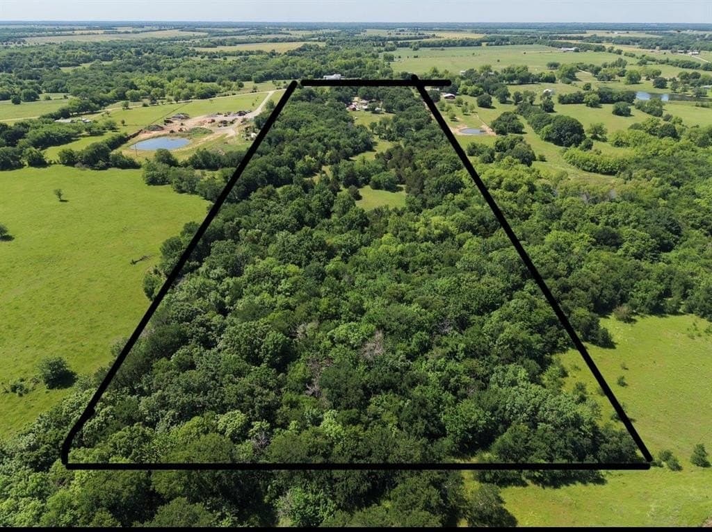 21.26 acres in Fannin County gallery image 2