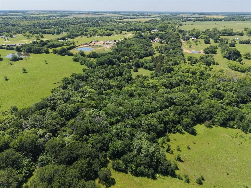 21.26 acres in Fannin County gallery image 4