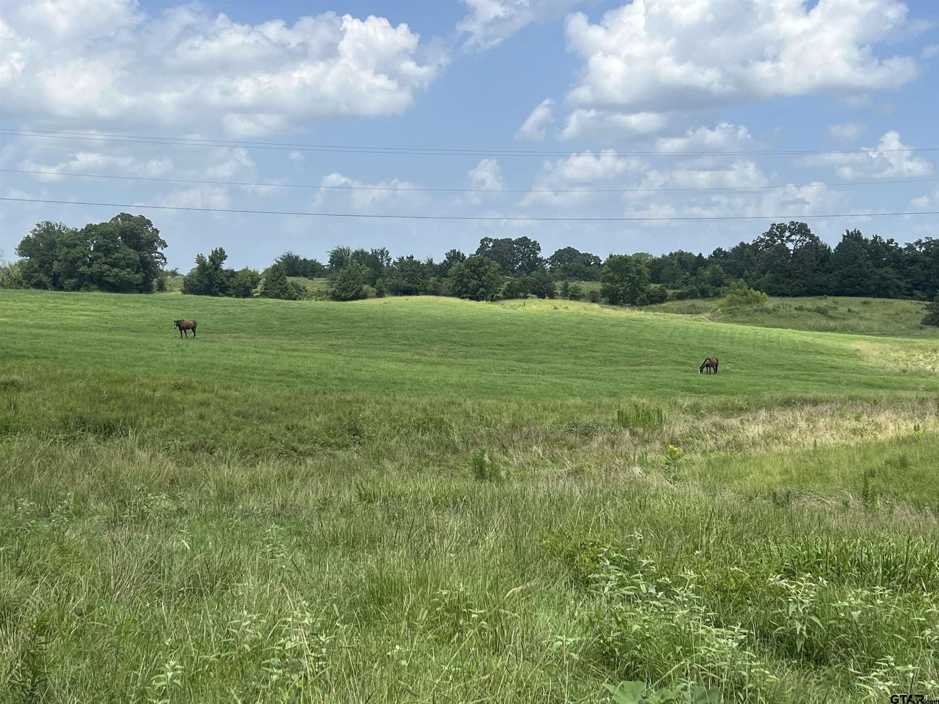 86.87 acres in Morris County gallery image 3