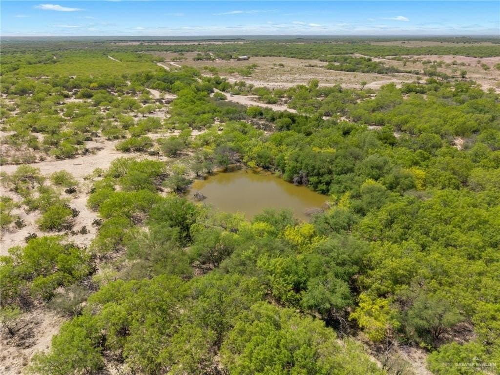 66 acres in Starr County - photo 13