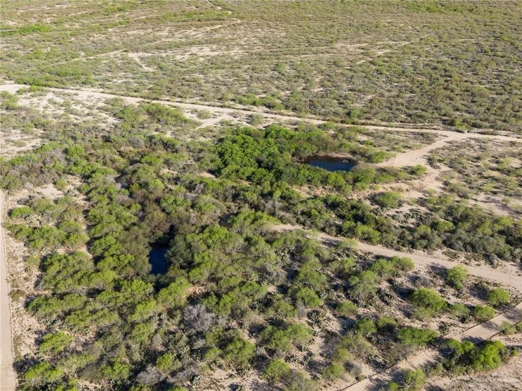 66 acres in Starr County gallery image 4