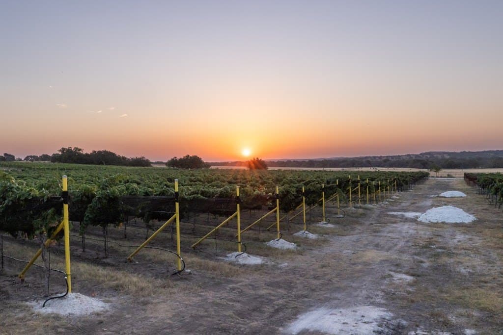 95.16 acres in Gillespie County - photo 19