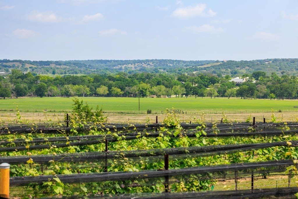 95.16 acres in Gillespie County - photo 16