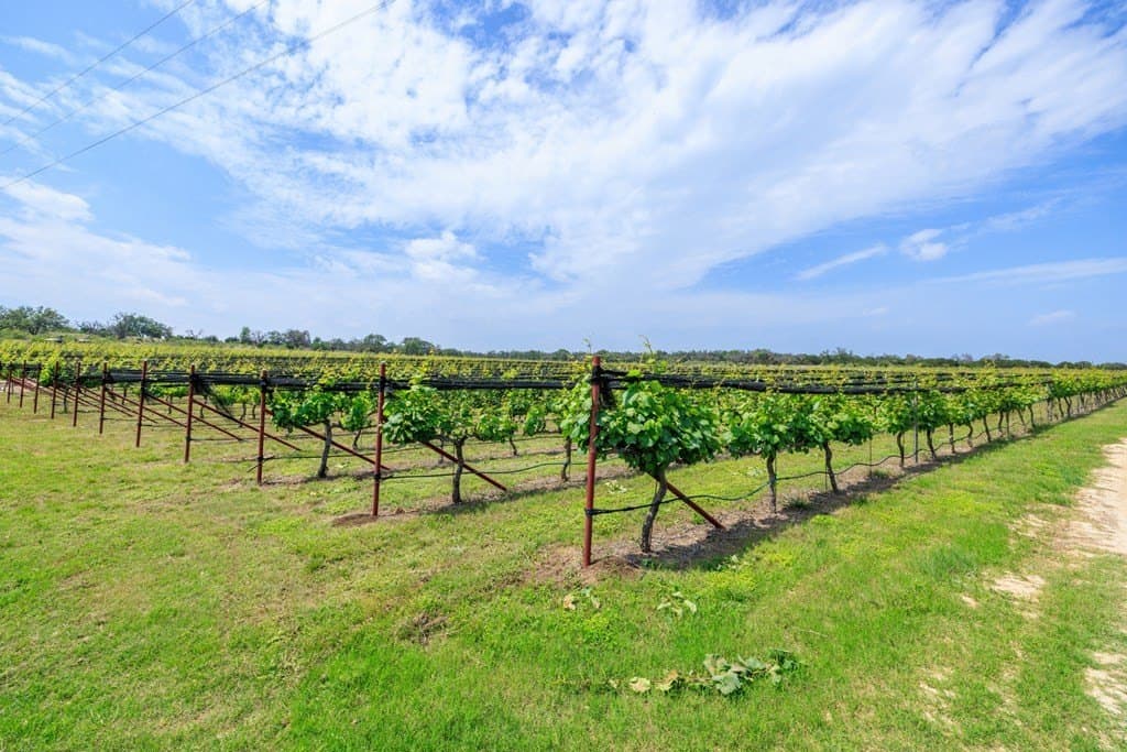 95.16 acres in Gillespie County - photo 12