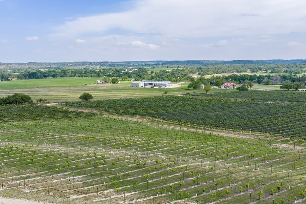 95.16 acres in Gillespie County - photo 9