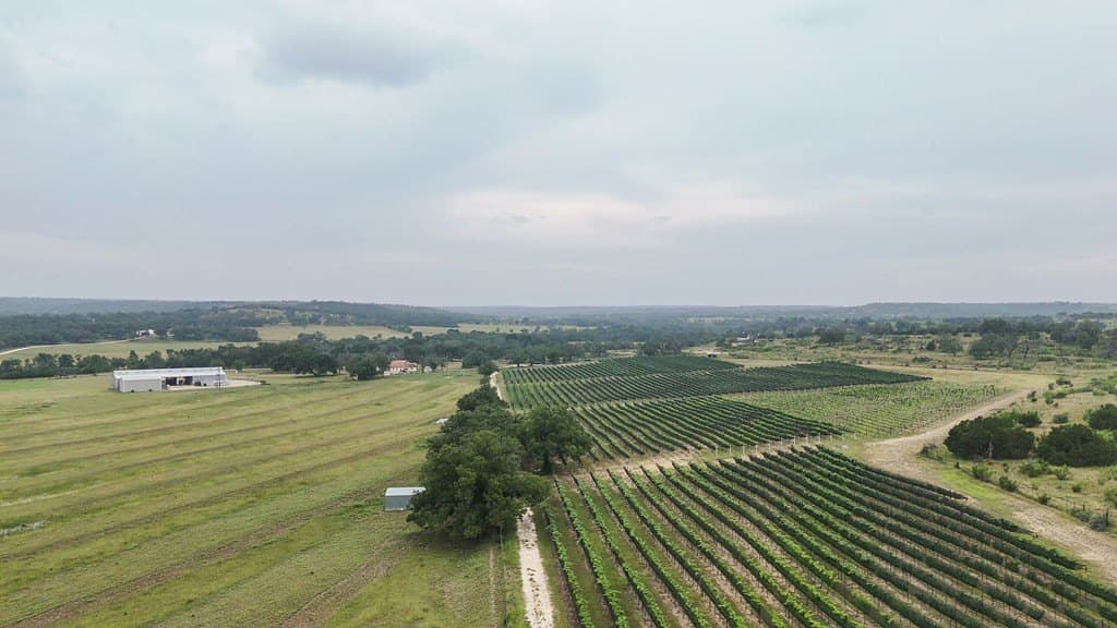 95.16 acres in Gillespie County - photo 17
