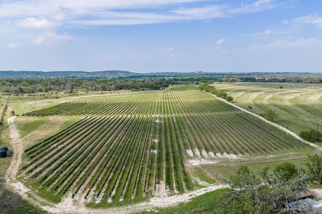 95.16 acres in Gillespie County - photo 8