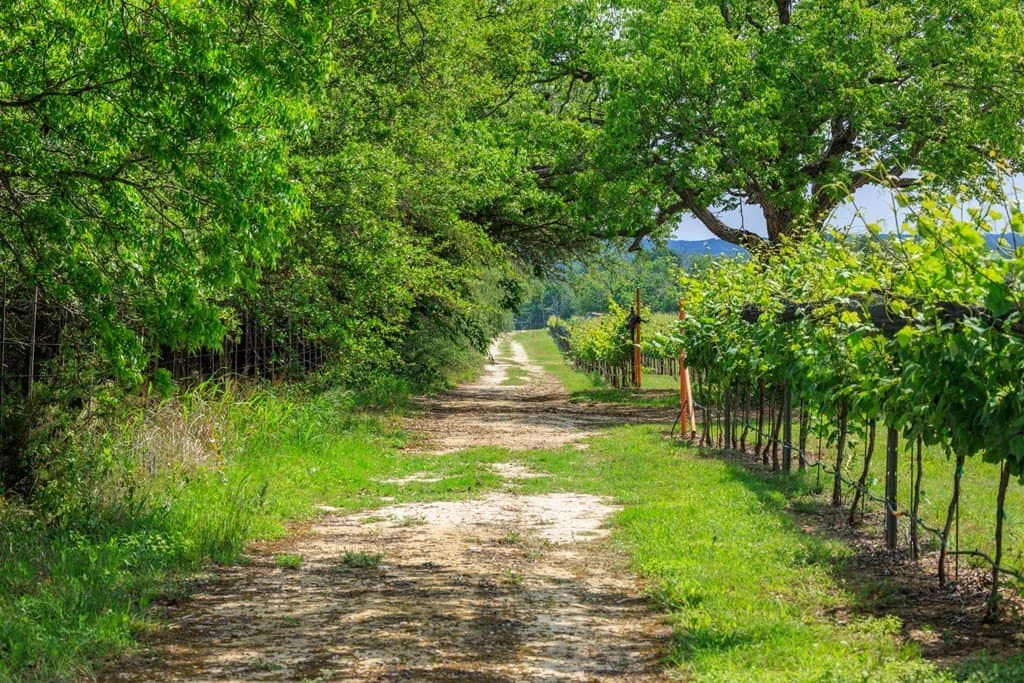 95.16 acres in Gillespie County - photo 10