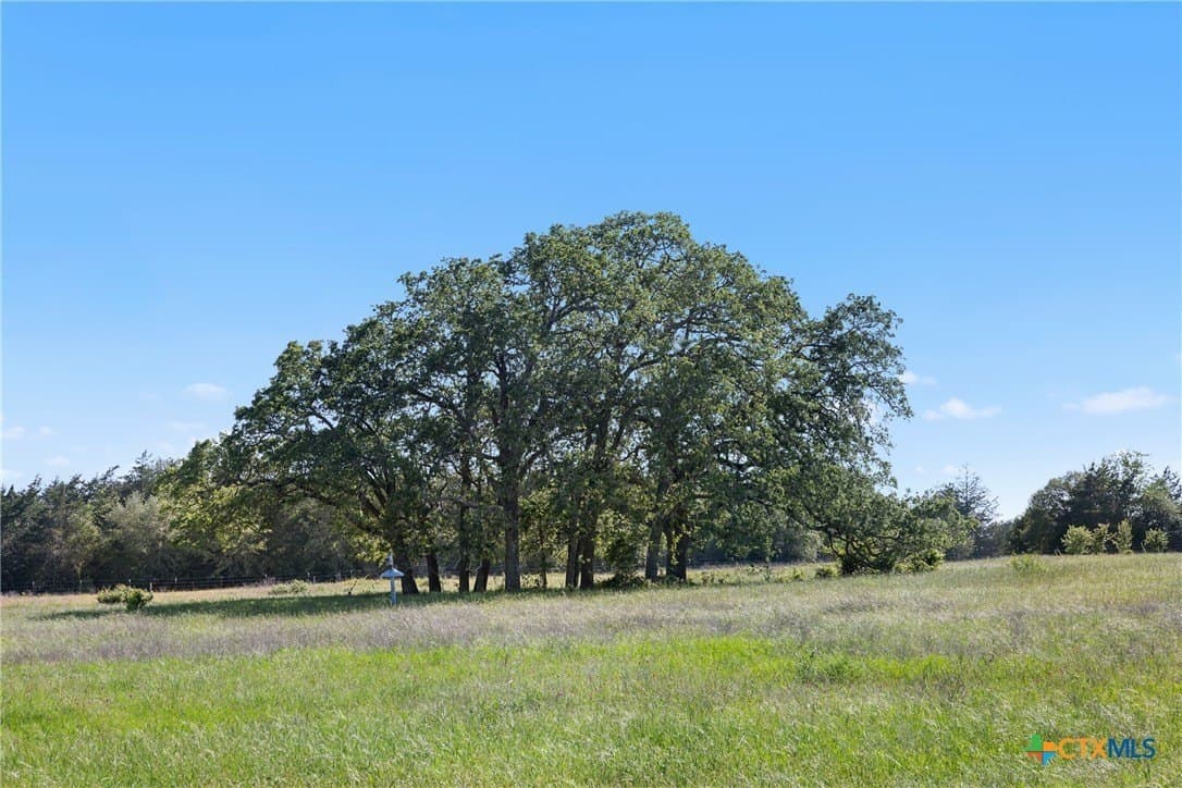 23.59 acres in Fayette County gallery image 2