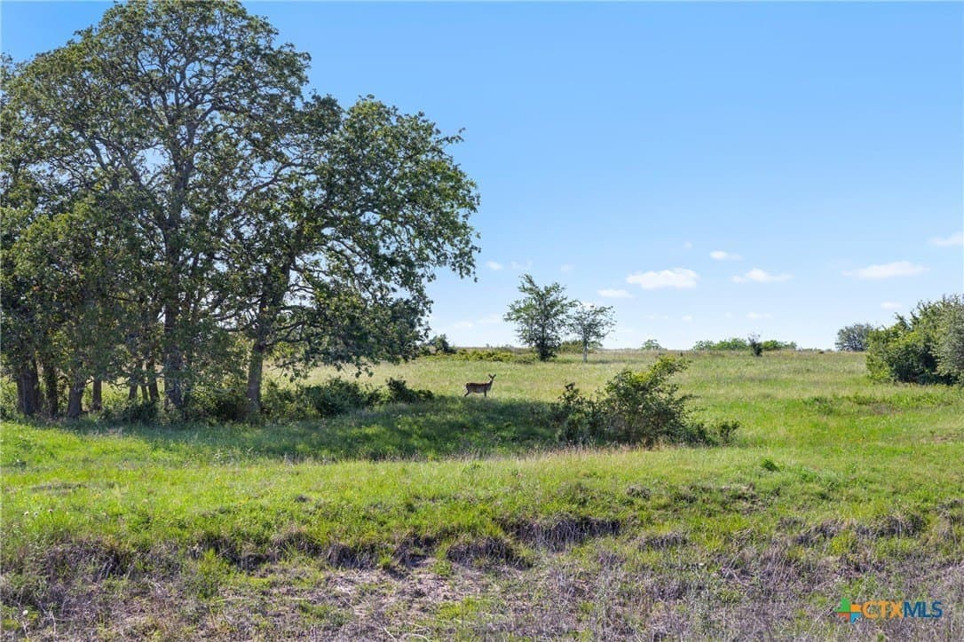 23.59 acres in Fayette County - photo 13