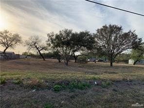 2 acres in Hidalgo County gallery image 2