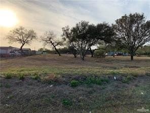 2 acres in Hidalgo County gallery image 4
