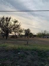 2 acres in Hidalgo County gallery image 3