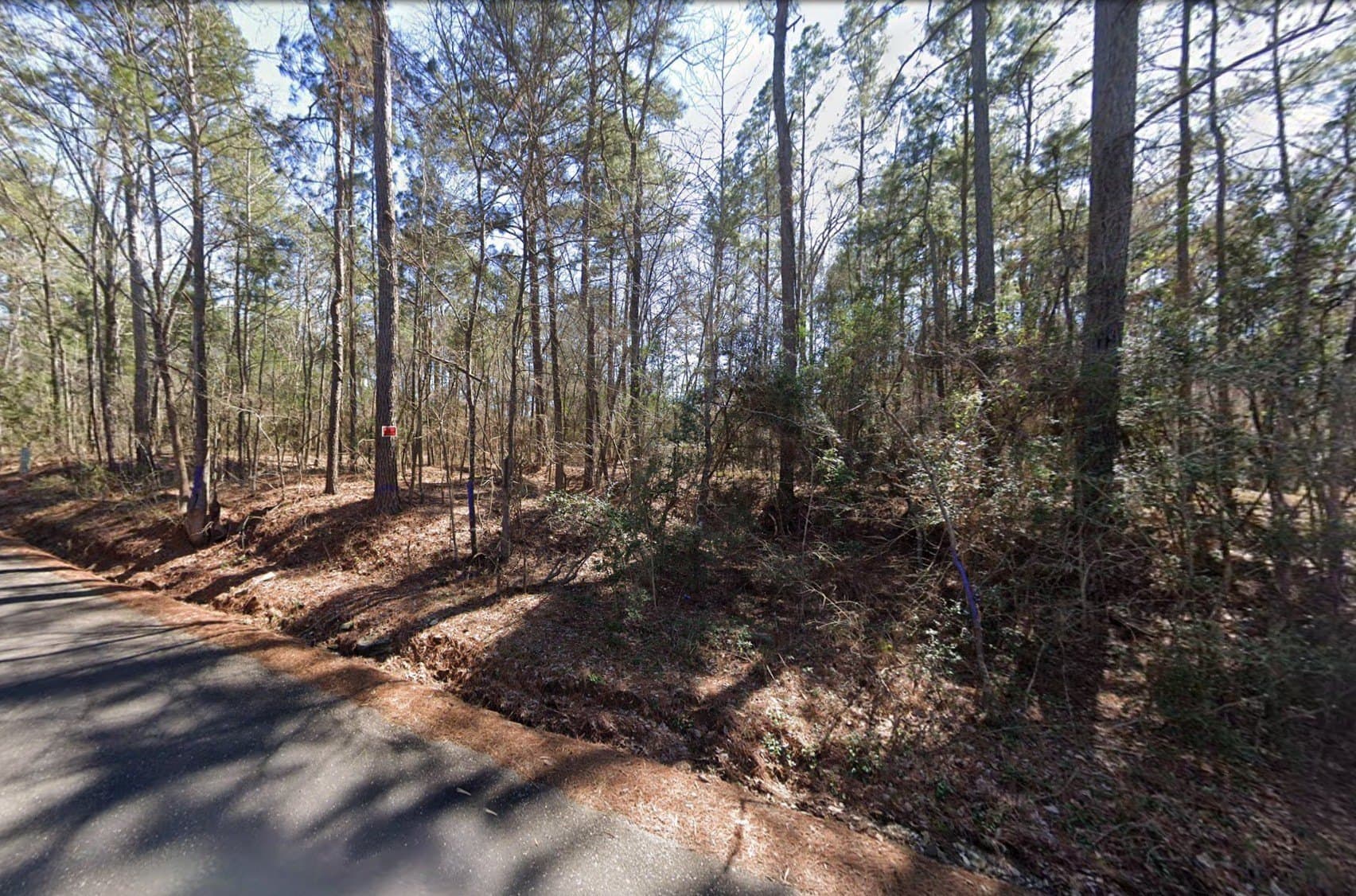 5.02 acres in Walker County - photo 2