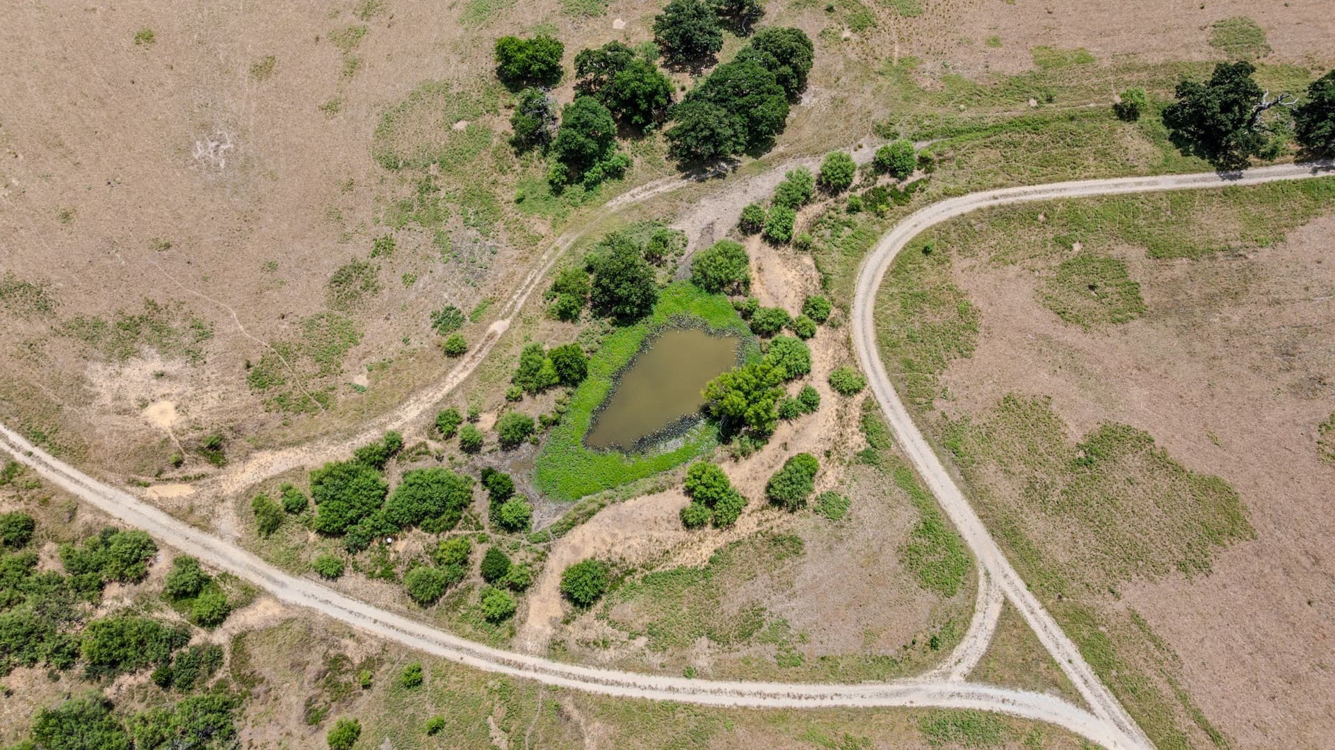 206.5 acres in Jack County - photo 13