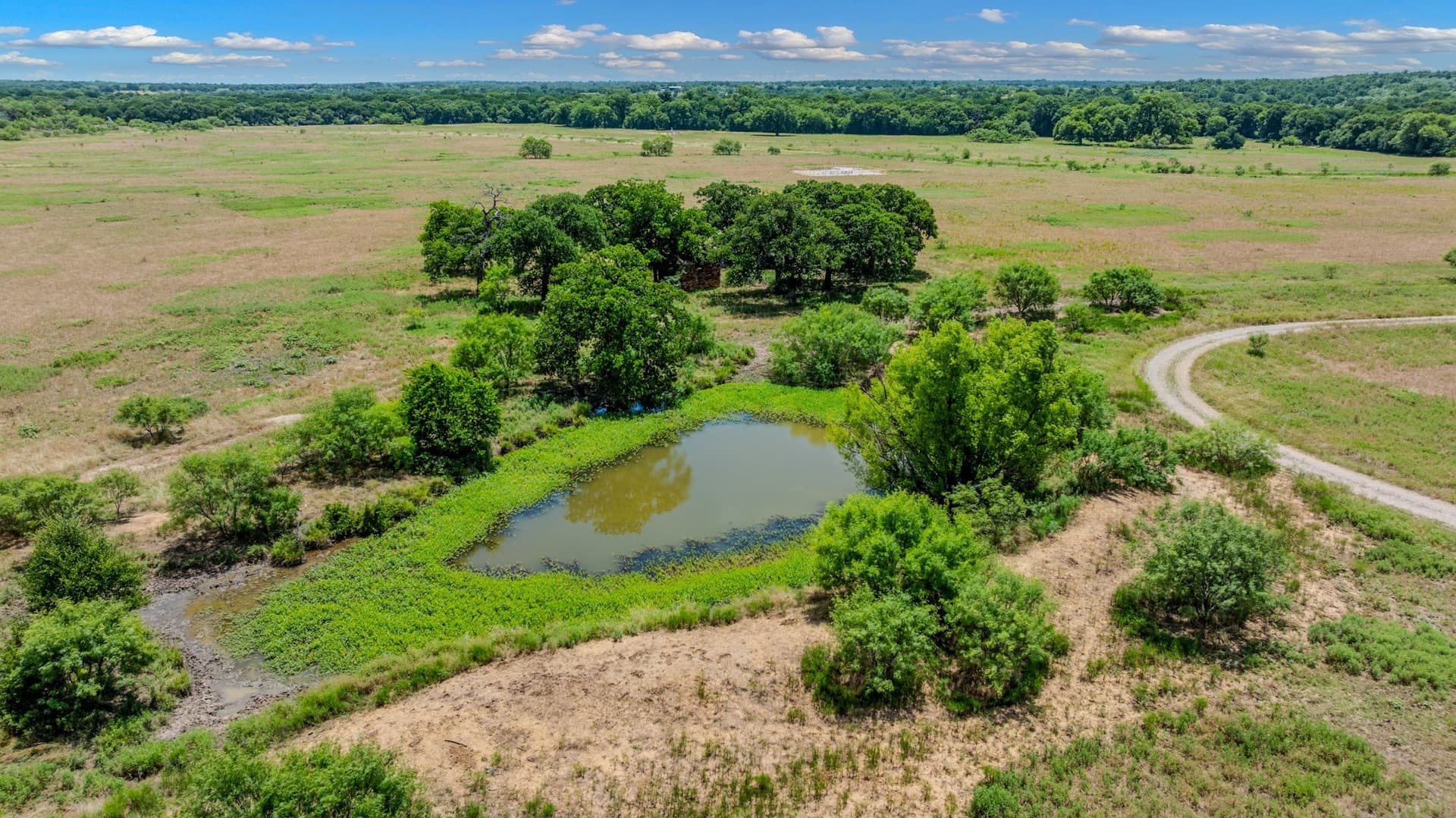 206.5 acres in Jack County - photo 12