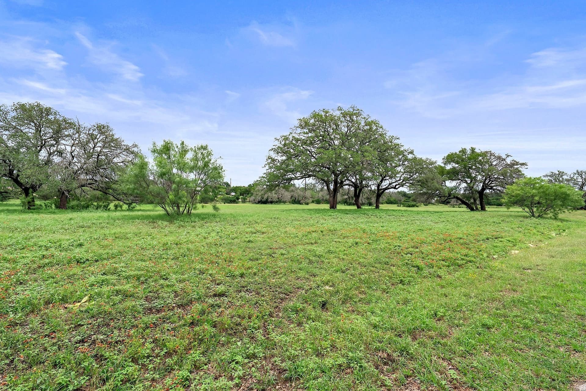 21.96 acres in Burnet County - photo 33