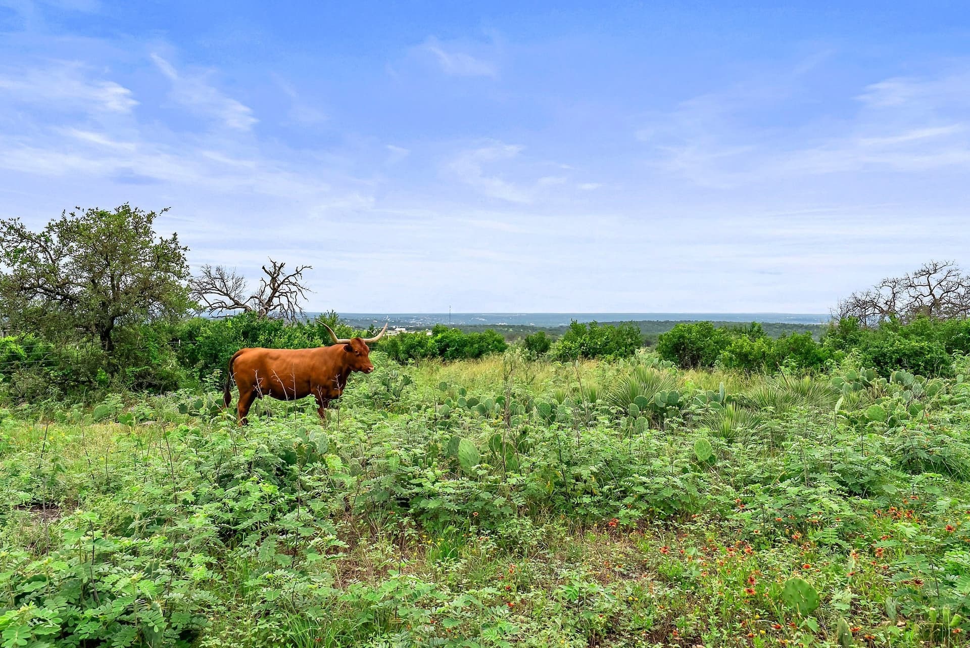 21.96 acres in Burnet County - photo 35