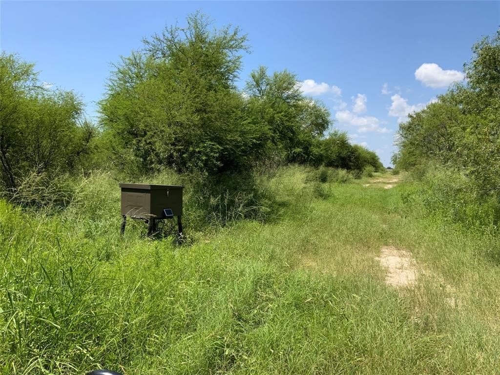21 acres in San Patricio County featured view