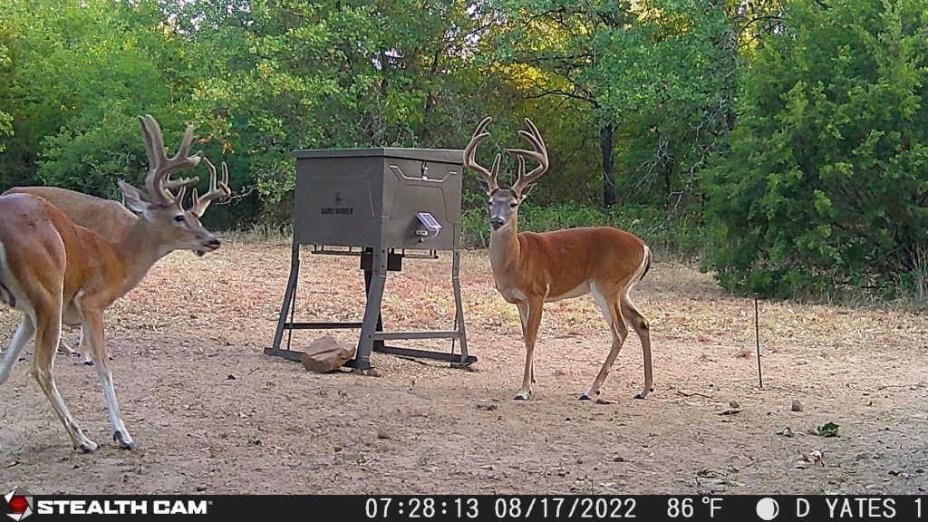 10 acres in Parker County - photo 30