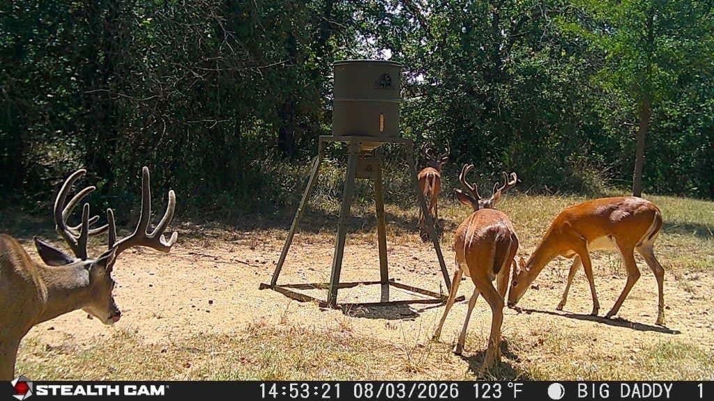 10 acres in Parker County - photo 28