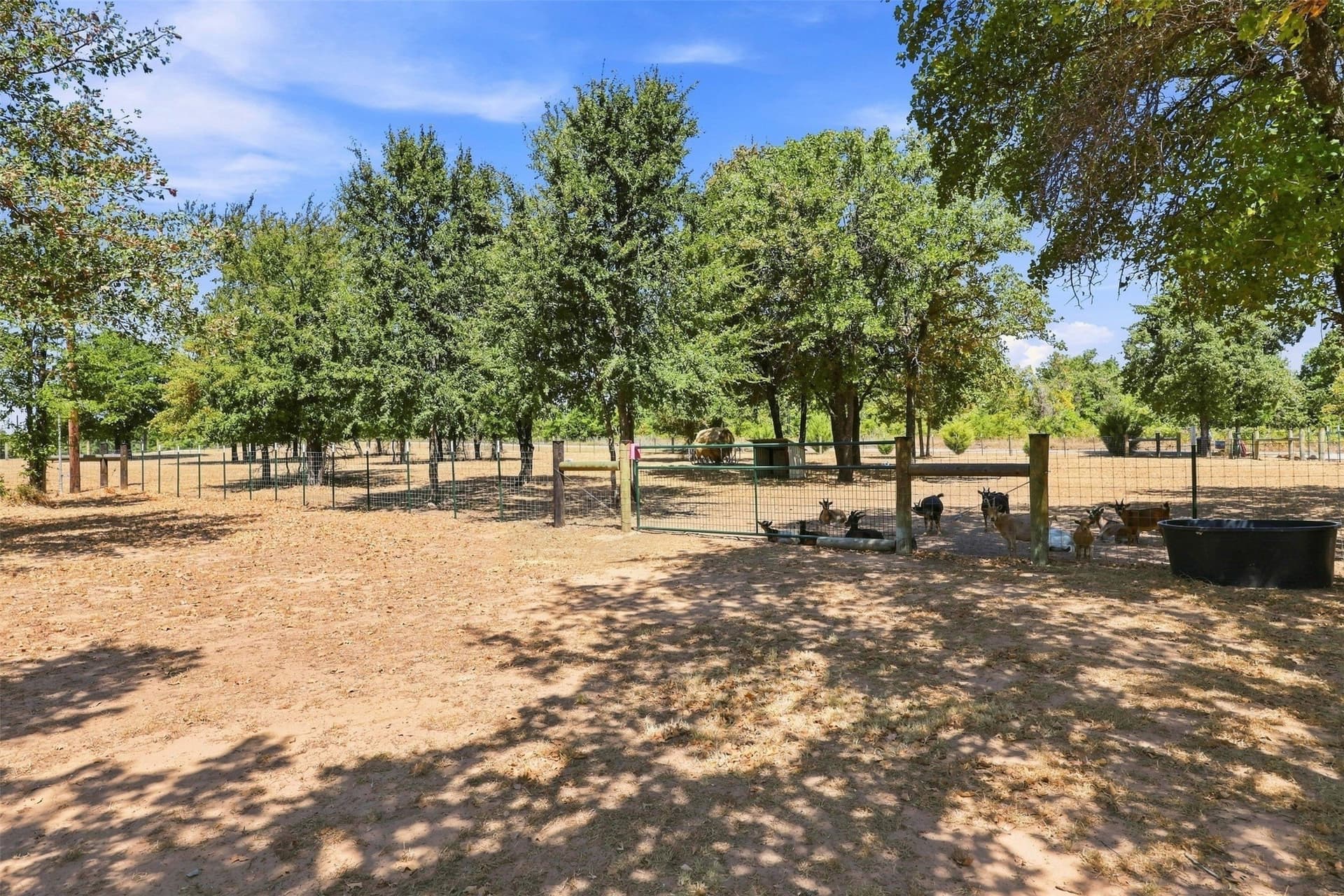 10 acres in Parker County - photo 23