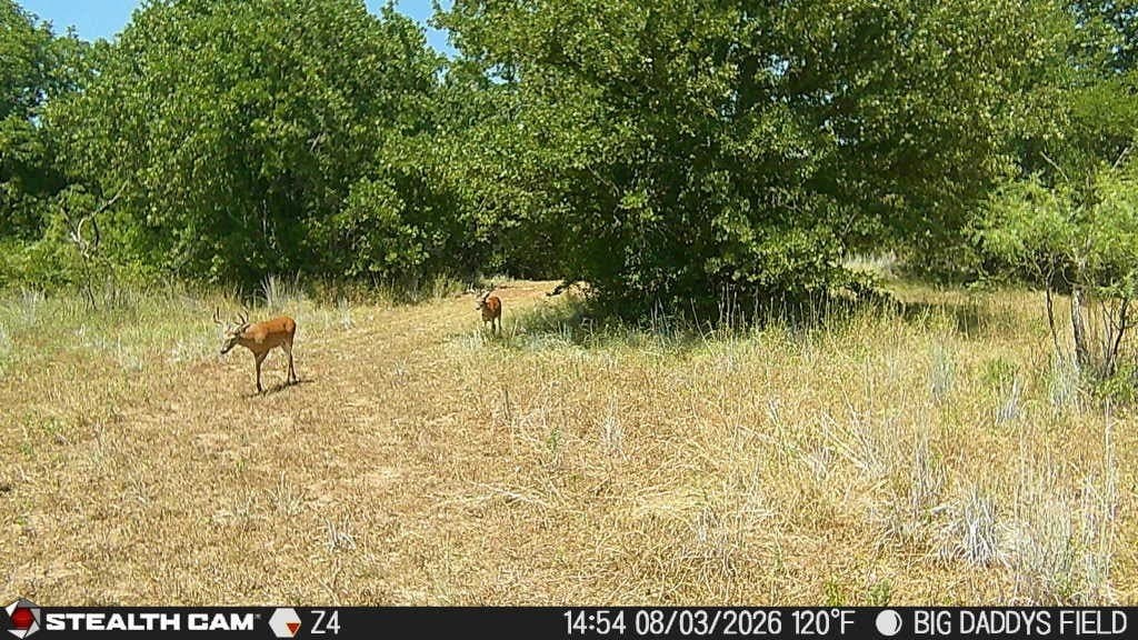 10 acres in Parker County - photo 29
