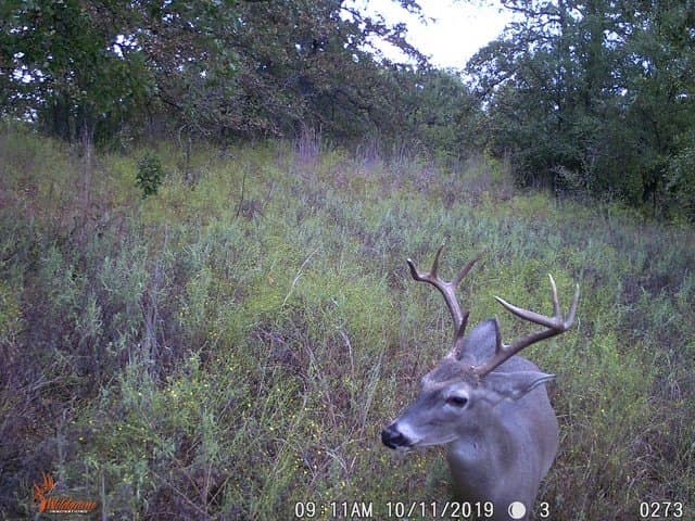 10 acres in Parker County - photo 31