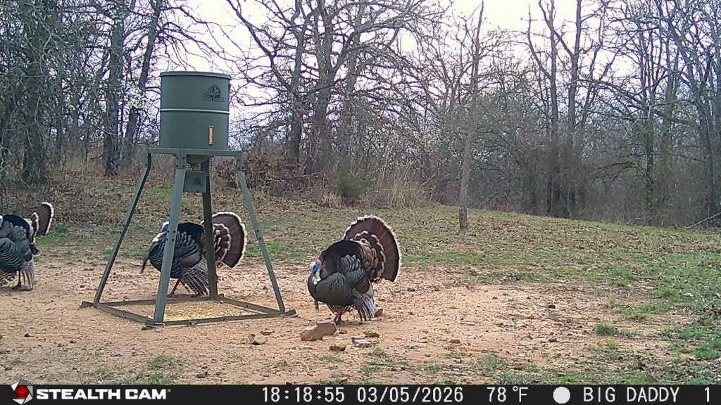 10 acres in Parker County - photo 27