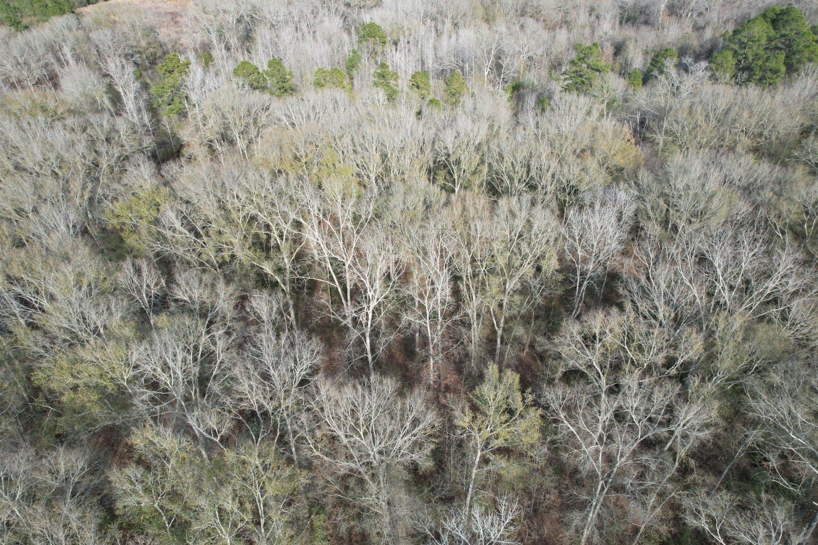 16 acres in Shelby County - photo 7