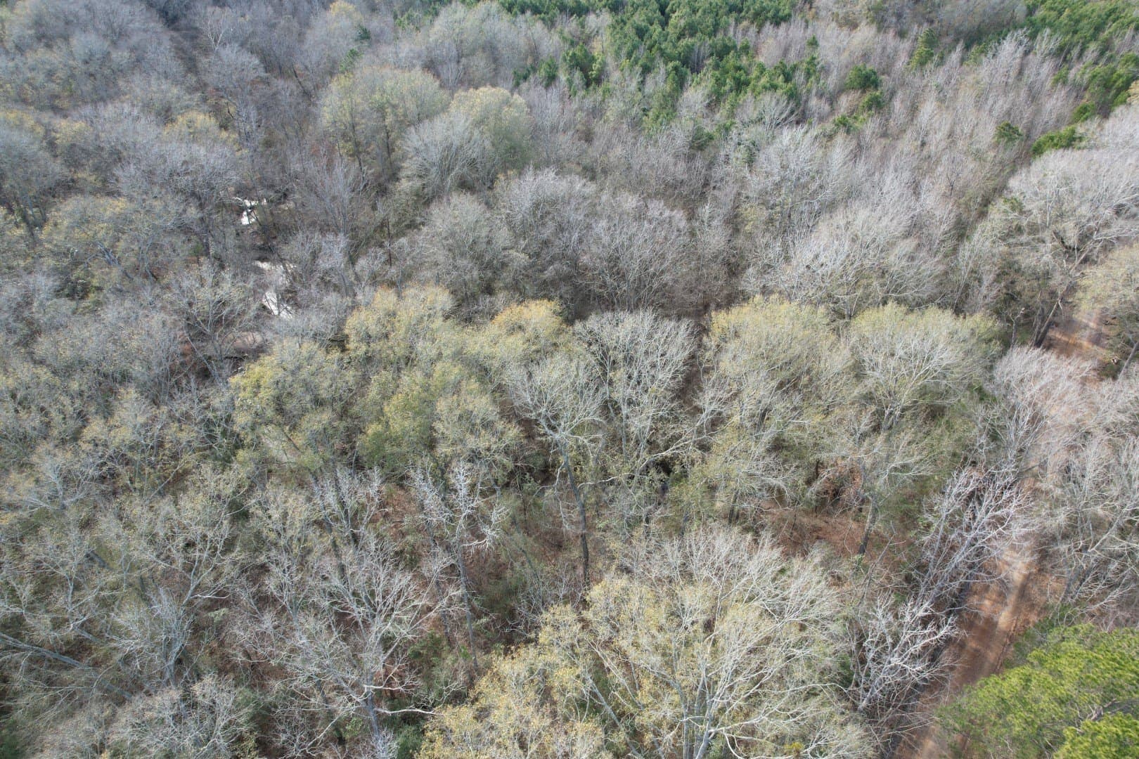 16 acres in Shelby County - photo 4