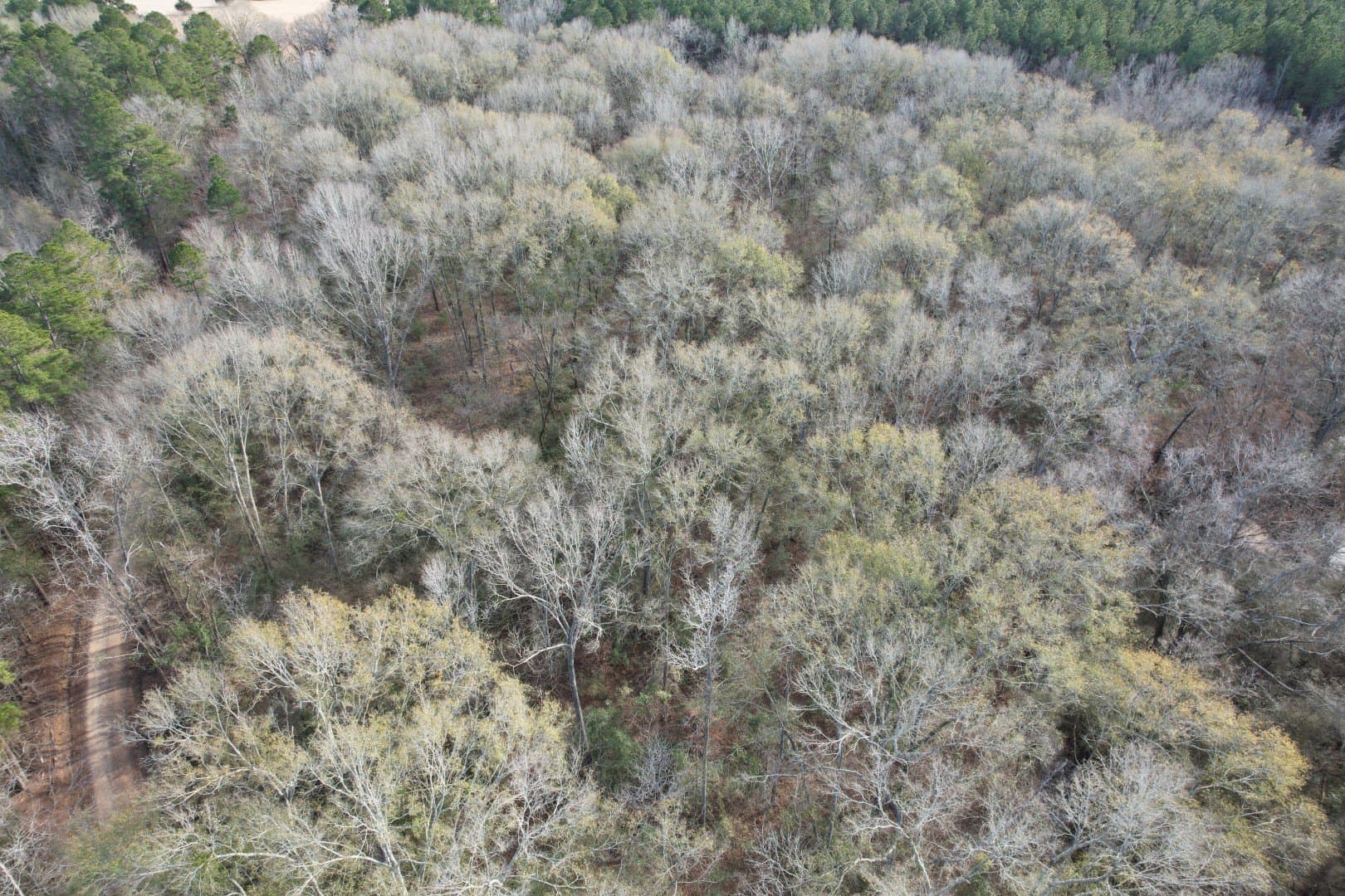 16 acres in Shelby County - photo 3