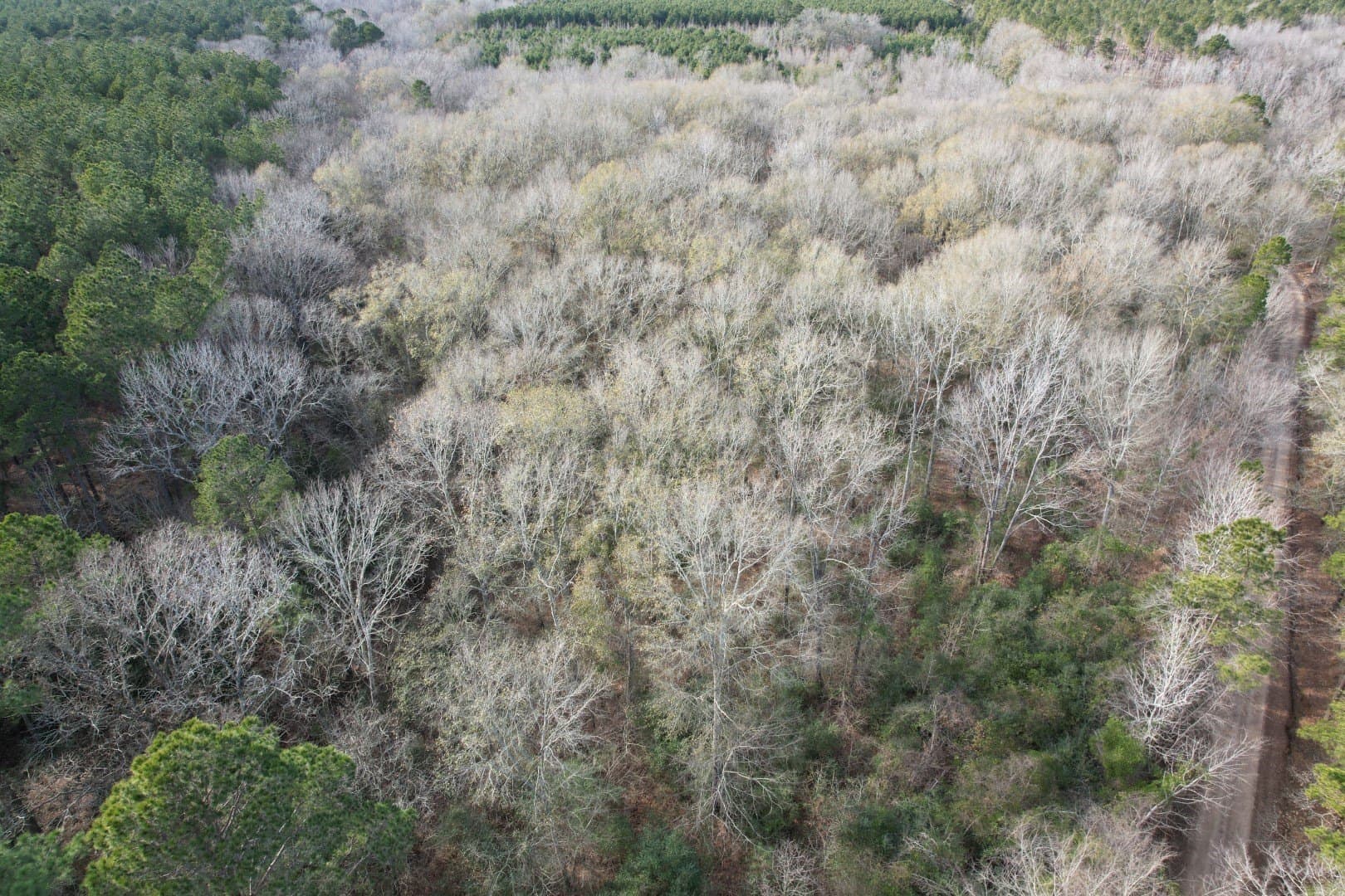 16 acres in Shelby County - photo 5