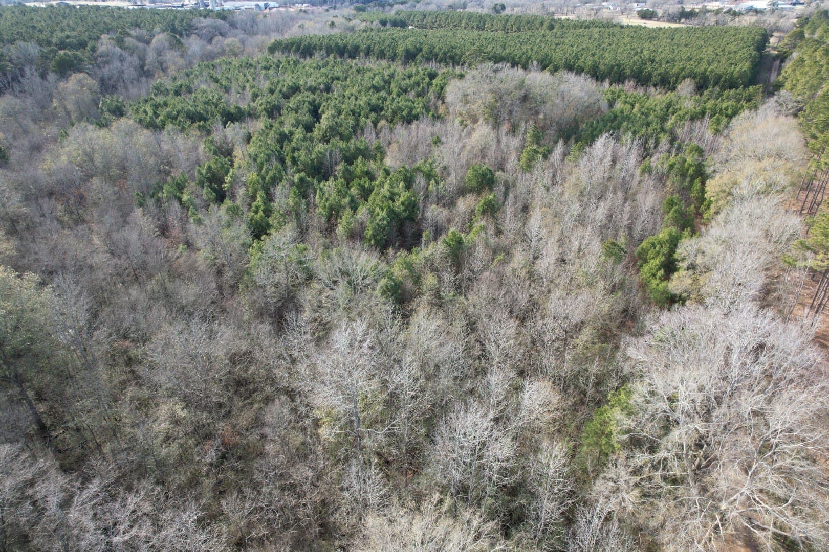16 acres in Shelby County - photo 8