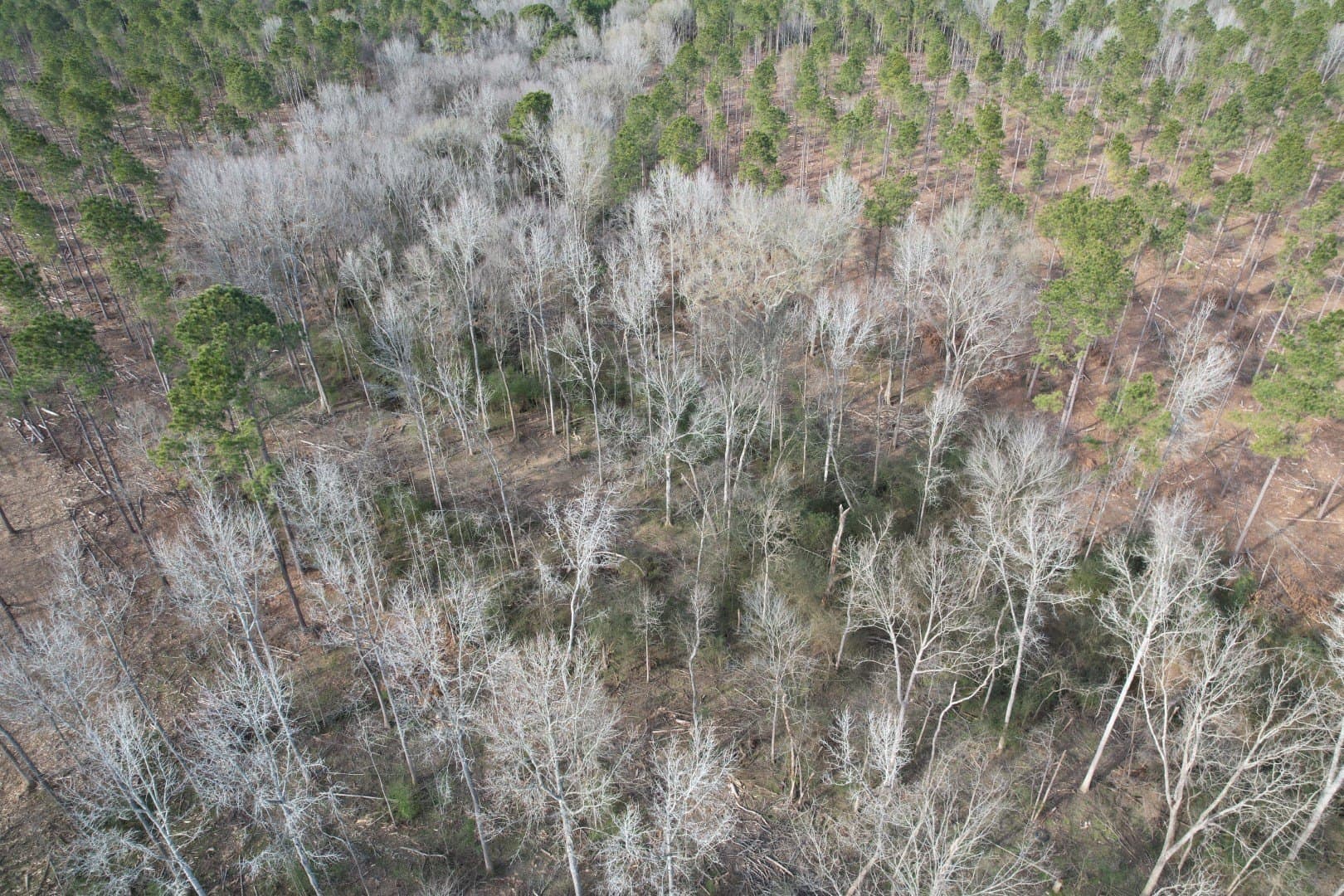 16 acres in Shelby County - photo 2