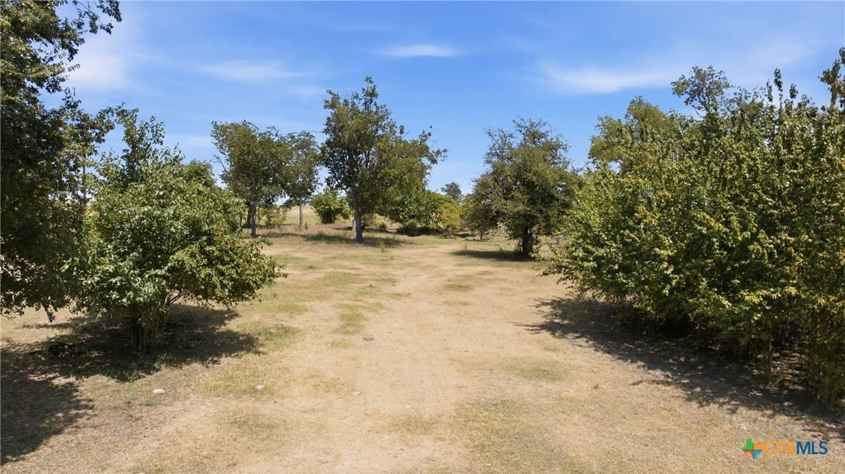 11.97 acres in Bell County - photo 15