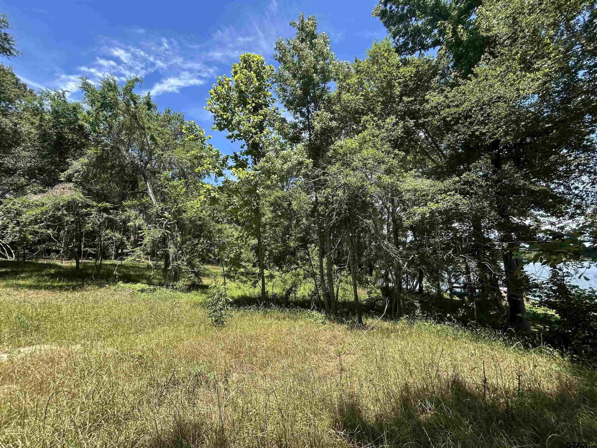 1.09 acres in Henderson County gallery image 4