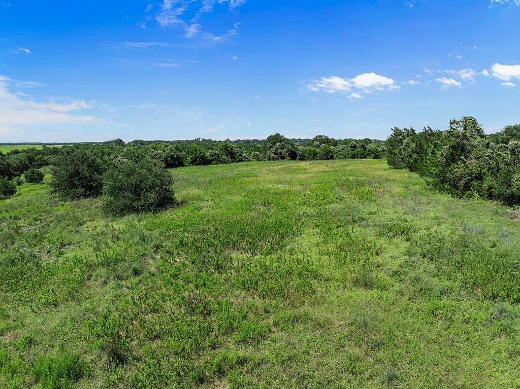 33.43 acres in Fayette County gallery image 3