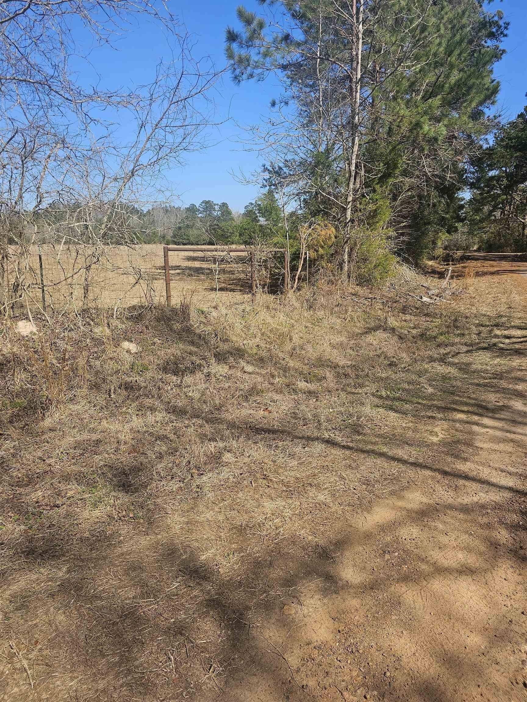 10.25 acres in Panola County gallery image 3