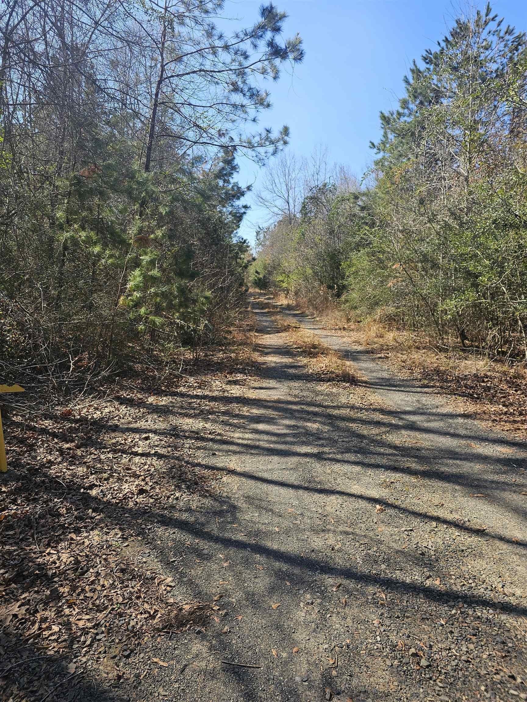 10.25 acres in Panola County