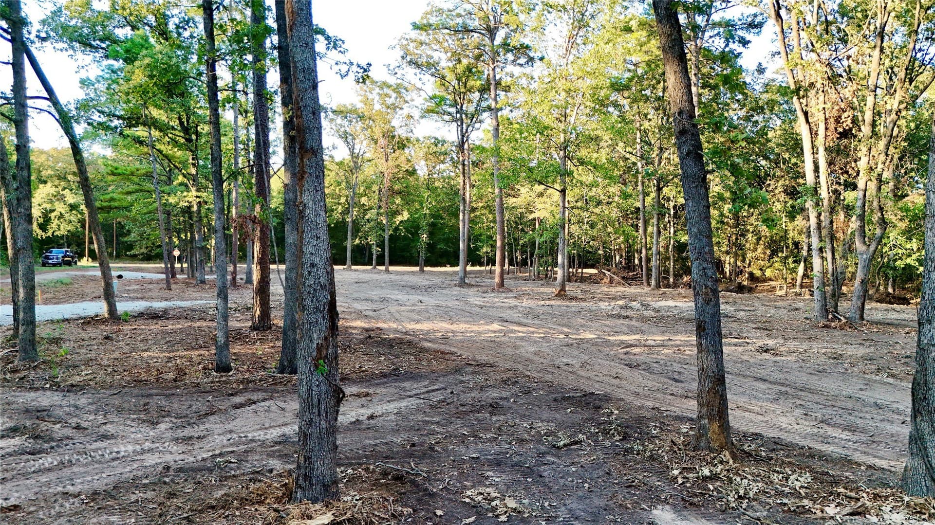 1 acres in Franklin (TX) County - photo 6