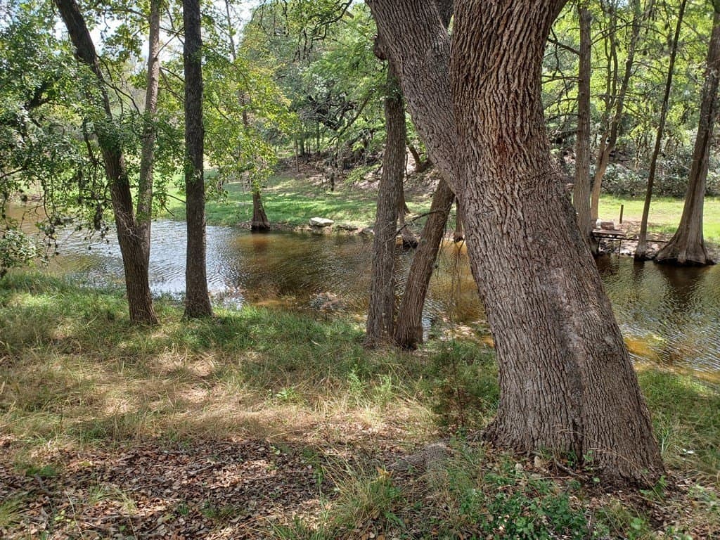 98.57 acres in Kerr County gallery image 4