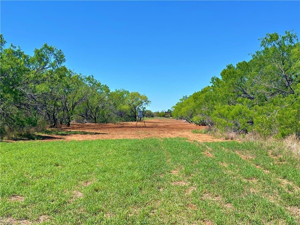 100 acres in Atascosa County - photo 17