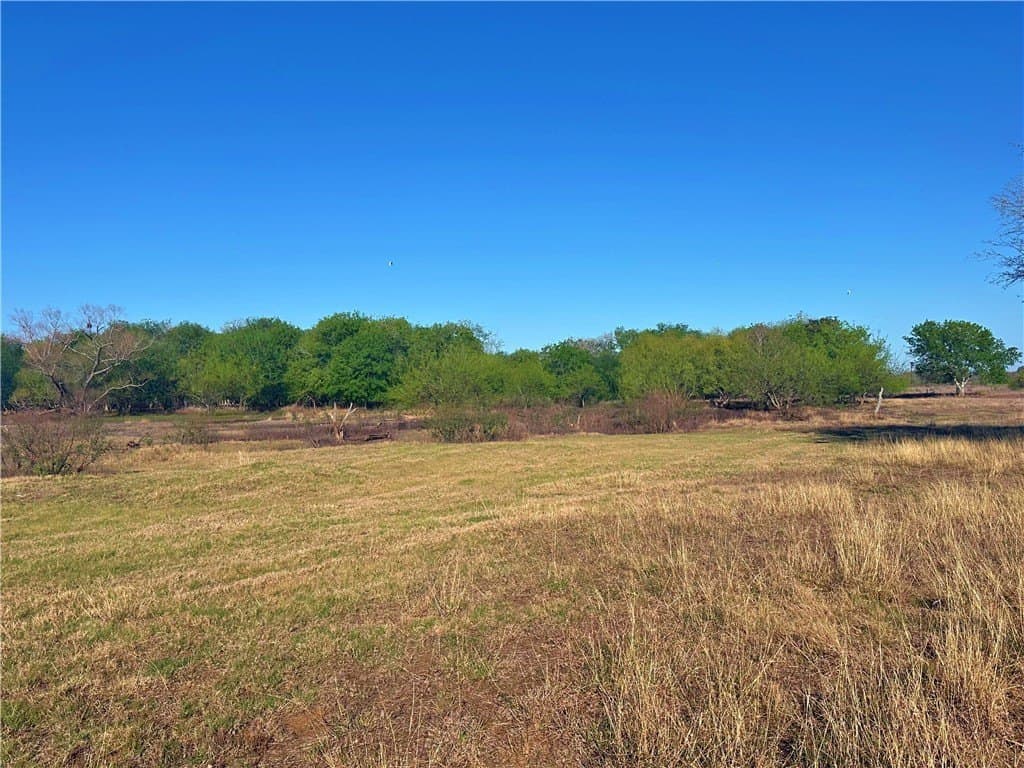 100 acres in Atascosa County - photo 8