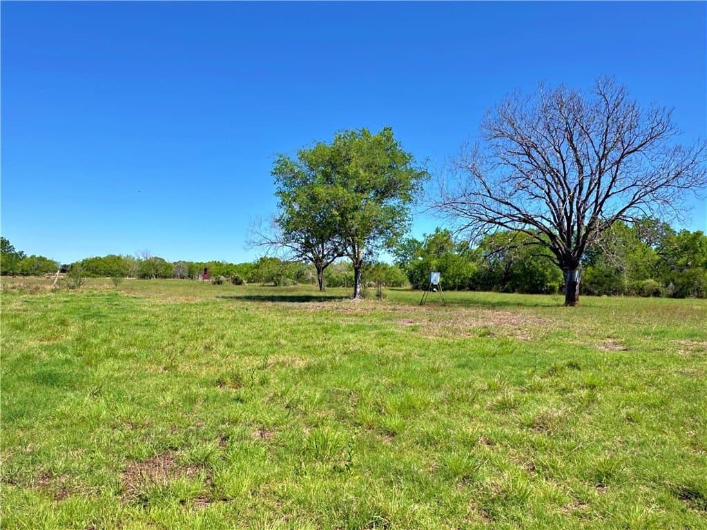 100 acres in Atascosa County - photo 6